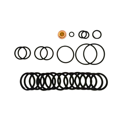 OEM/ODM Available Nitrile Fluorelastomer Bridge Plugs 10 BP3.SEC Adapter Kits For Redressing