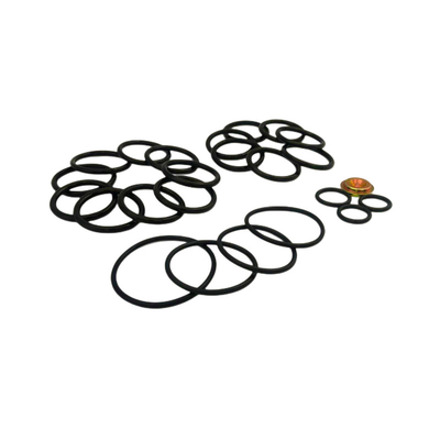 FKM EPDM NBR Rings Custom Colors Redress Kit #10 Baker Setting Tools For Bridge Plug