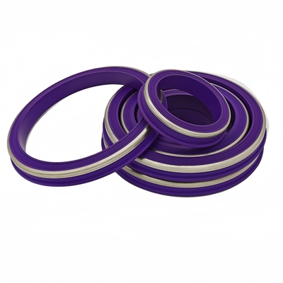 Purple 2'' 3'' 4'' 5'' NBR HNBR FKM PTFE Seals Ring Hammer Union Seal for Oil Industry