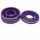 Purple 2'' 3'' 4'' 5'' NBR HNBR FKM PTFE Seals Ring Hammer Union Seal for Oil Industry