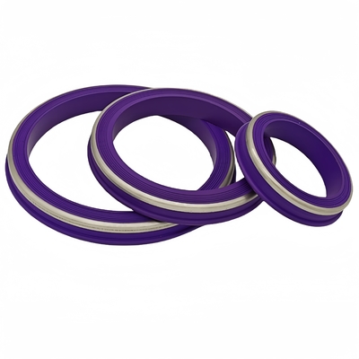 Purple 2'' 3'' 4'' 5'' NBR HNBR FKM PTFE Seals Ring Hammer Union Seal for Oil Industry