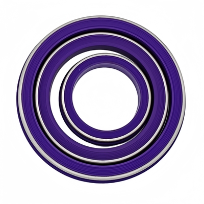 Purple 2'' 3'' 4'' 5'' NBR HNBR FKM PTFE Seals Ring Hammer Union Seal for Oil Industry