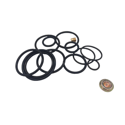 Wholesale Price DWS 3 5/8 Compact Rubber O Rings Kits For Wireline Adapter