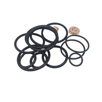 High Quality Custom NBR HNBR FKM EPDM Seal Tool DWS 3 5/8 COMPACT Redress Kit