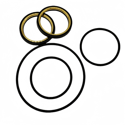 Corrosion Resistance Custom Size 2'' *2'' Plug Valve Repair Seal Kit For Completion Tool