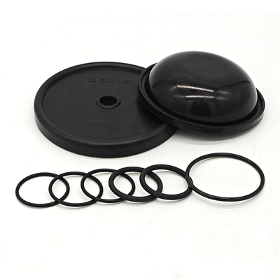 Diaphragm Pump Repair Kit NBR FKM Rubber Material