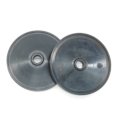 1040081 NBR FKM High Performance Pump Diaphragm for Ar40 Ar70 Pumps