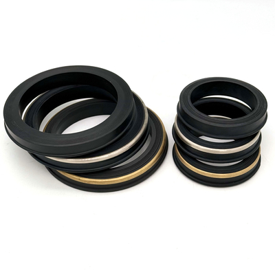 Brass Backed Hammer Union Seals Fig 602 1002 for Oil and Gas