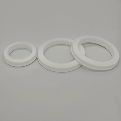 FKM PTFE Hammer Union Seal for High-Pressure Pipe Connections