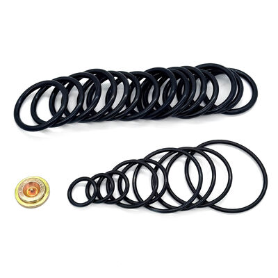 15,000 PSI Packing Kit for #10 Style Pressure Setting Tool - Crude Oil Compatible Redress Kit with Wireline Adapter Kits (WAK)