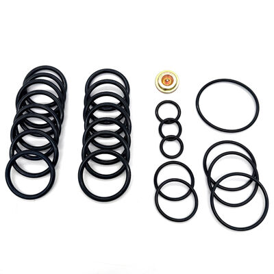 15,000 PSI HNBR FKM Aflas NBR Seal Kit for Size 10 Wireline Pressure Setting Tool ISO 9001 Redress Kit