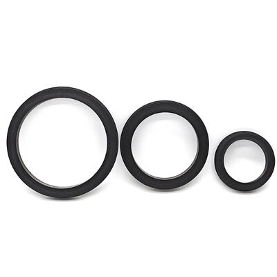 High Pressure Resistance Hammer Union Lip Seal with Multiple Sizes and Chemical Resilience