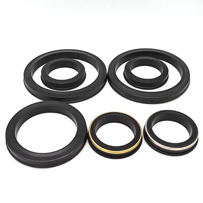 Standard Fig 602, 1002, 1502 Hammer Union Lip Seals with NBR HNBR FKM PTFE Materials for 6000-15000 PSI Applications