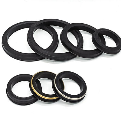 Standard Fig 602, 1002, 1502 Hammer Union Lip Seals with NBR HNBR FKM PTFE Materials for 6000-15000 PSI Applications