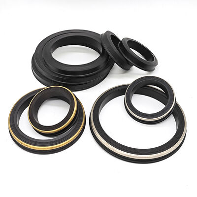 Standard Fig 602, 1002, 1502 Hammer Union Lip Seals with NBR HNBR FKM PTFE Materials for 6000-15000 PSI Applications