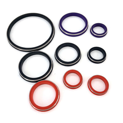 2 Inch FKM FIG 1002 Hammer Union Seal and Hammer Union Lip Seal for Oilfield Well Service