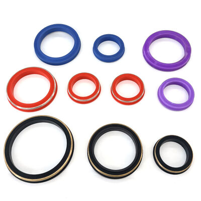 2 Inch FKM FIG 1002 Hammer Union Seal and Hammer Union Lip Seal for Oilfield Well Service