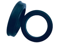 Multiple sizes Durable Hammer Union Lip Seal Ring