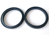 1502 Hammer Union Lip Seal Ring  HNBR Nitrile Available Material