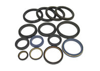 Blue Color Vition seals hammer union seals with/without skeleton vast apply for high pressure manifolds and plug valve