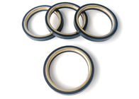 Industrial Hammer Union Seal / Oil Lip Seal With Brass Backed Rings