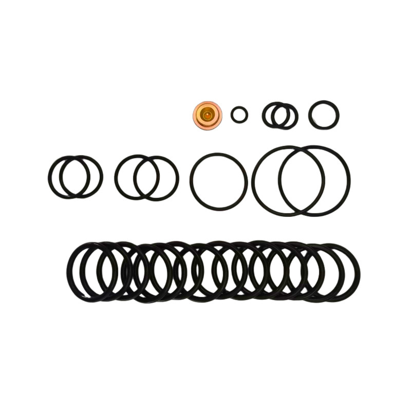 OEM/ODM Available Nitrile Fluorelastomer Bridge Plugs 10 BP3.SEC Adapter Kits For Redressing