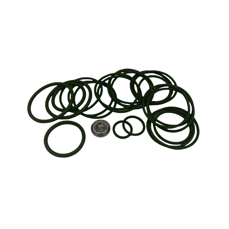 FKM EPDM NBR Rings Custom Colors Redress Kit #20 Baker Setting Tools For Bridge Plug