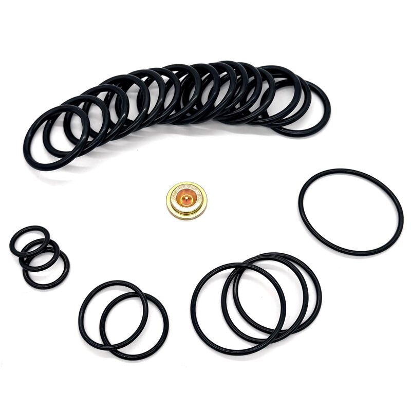 15,000 PSI HNBR FKM Aflas NBR Seal Kit for Size 10 Wireline Pressure Setting Tool ISO 9001 Redress Kit