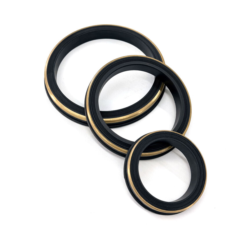 Premium NBR Hammer Union Seals with Brass Anti-Extrusion Ring | Fig 602, 1002, 1502 High Pressure Lip Seals | Nitrile Oilfield Seals for Pipeline