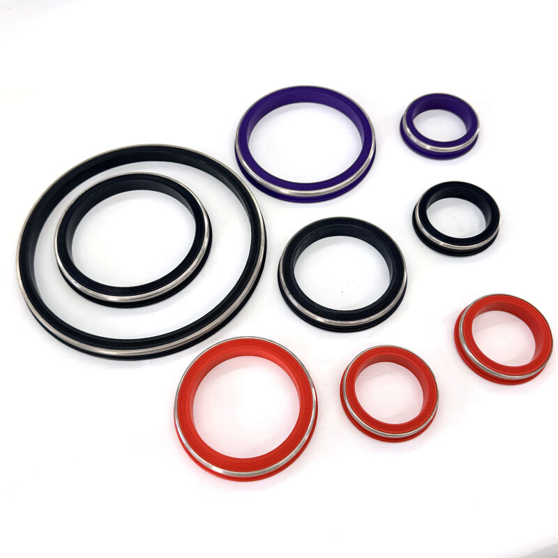 2 Inch FKM FIG 1002 Hammer Union Seal and Hammer Union Lip Seal for Oilfield Well Service