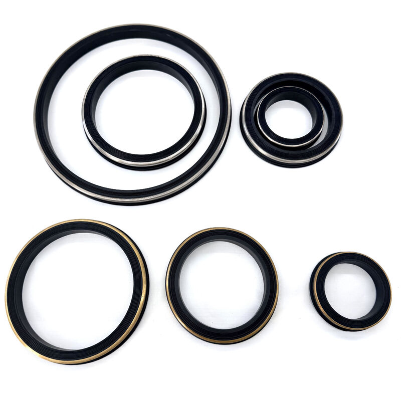 2 Inch FIG 1002 HNBR Hammer Union Seal and Hammer Union Lip Seal for Oilfield Pressure Pumping