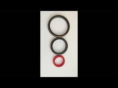 80 Shore A Brass Backup Buna Hammer Union Seal