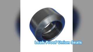 High Pressure Union Seals Leak Proof